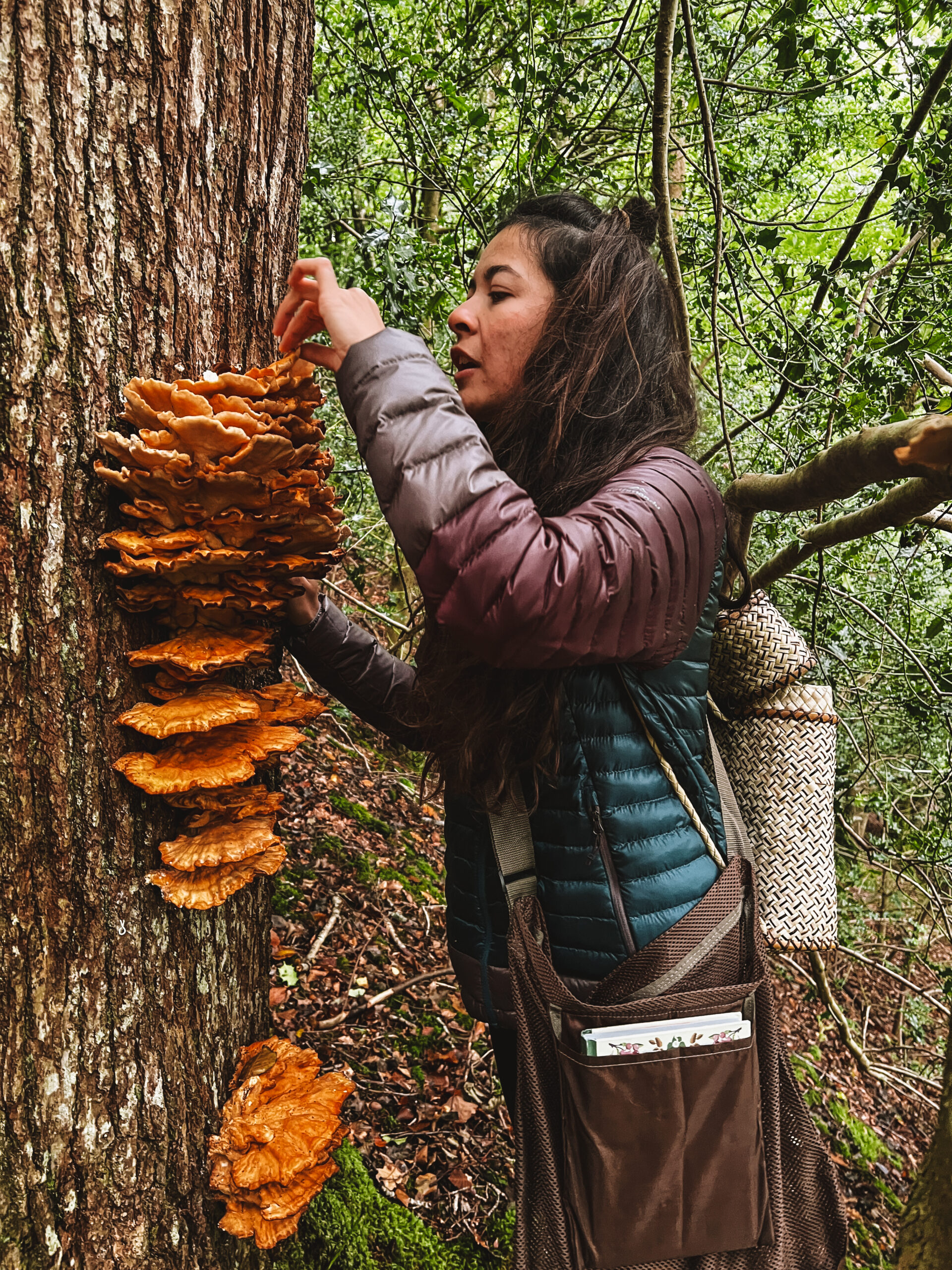 Women's Mushroom Forage & Feast - 18 October 2025 - Retreat Wild